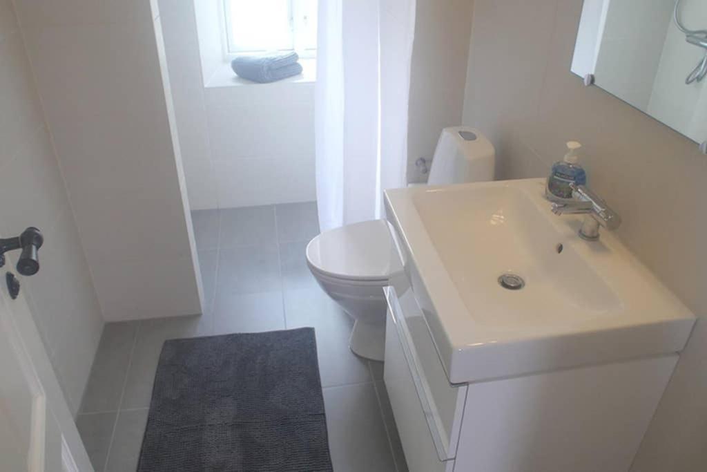 קופנהגן Next To New Harbor / 3 Bedroom & 2 Bath Rooms מראה חיצוני תמונה